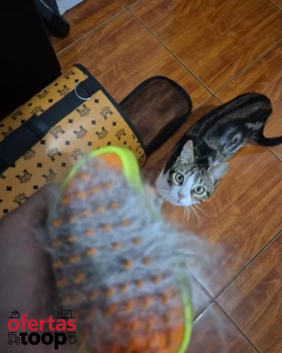 Cepillo a Vapor 3 en 1 para Mascotas